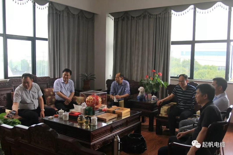 安徽省池州市市長(zhǎng)雍成瀚等參觀調(diào)研起帆電纜總部